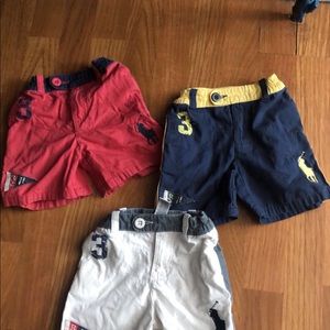 Polo shorts